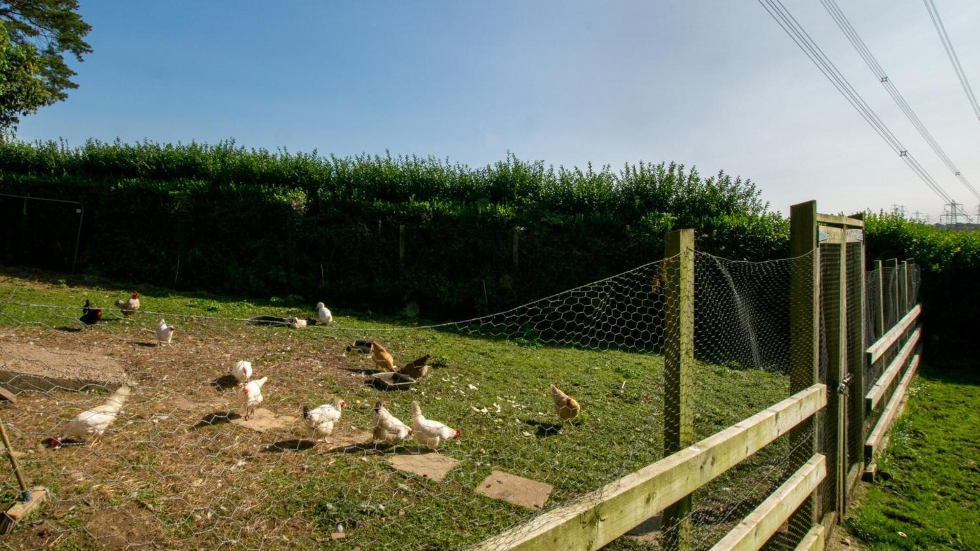 Crwcca Farm Holiday home *