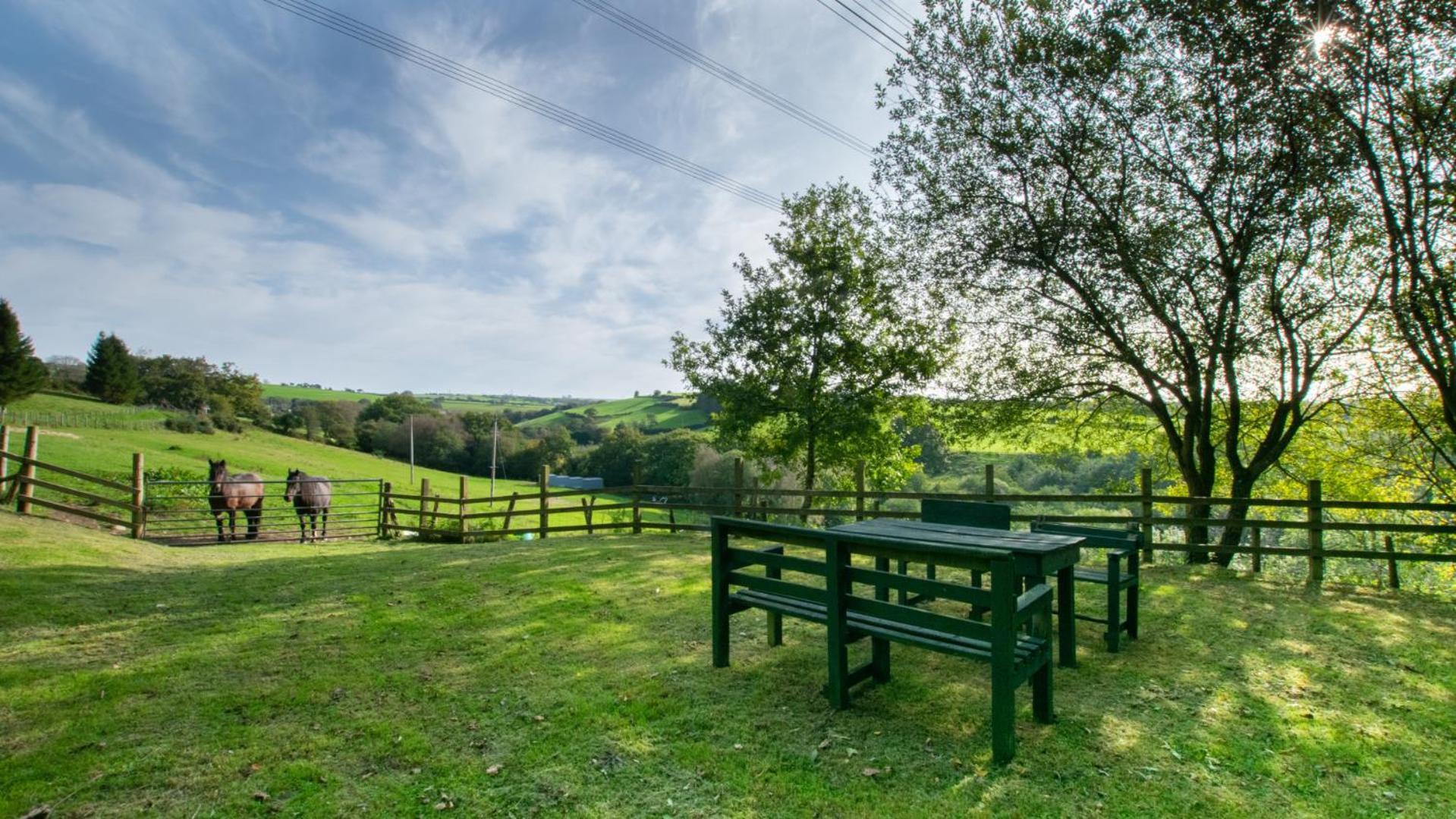 Holiday home Crwcca Farm